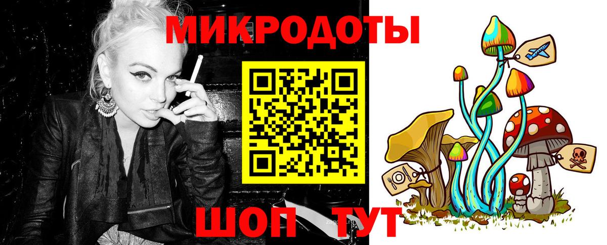 Псилоцибиновые грибы Psilocybine cubensis Тутаев
